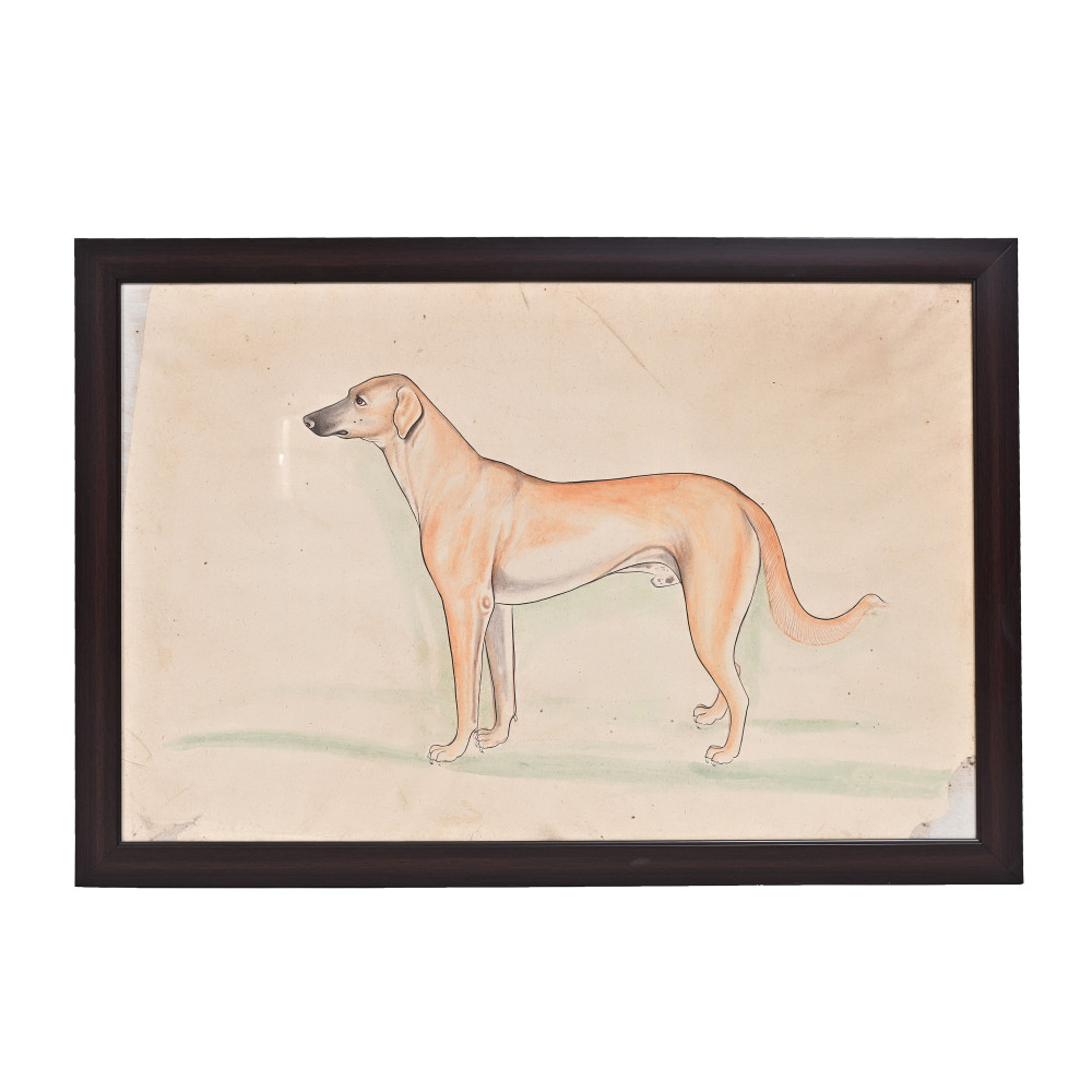 Image of The Royal Hound