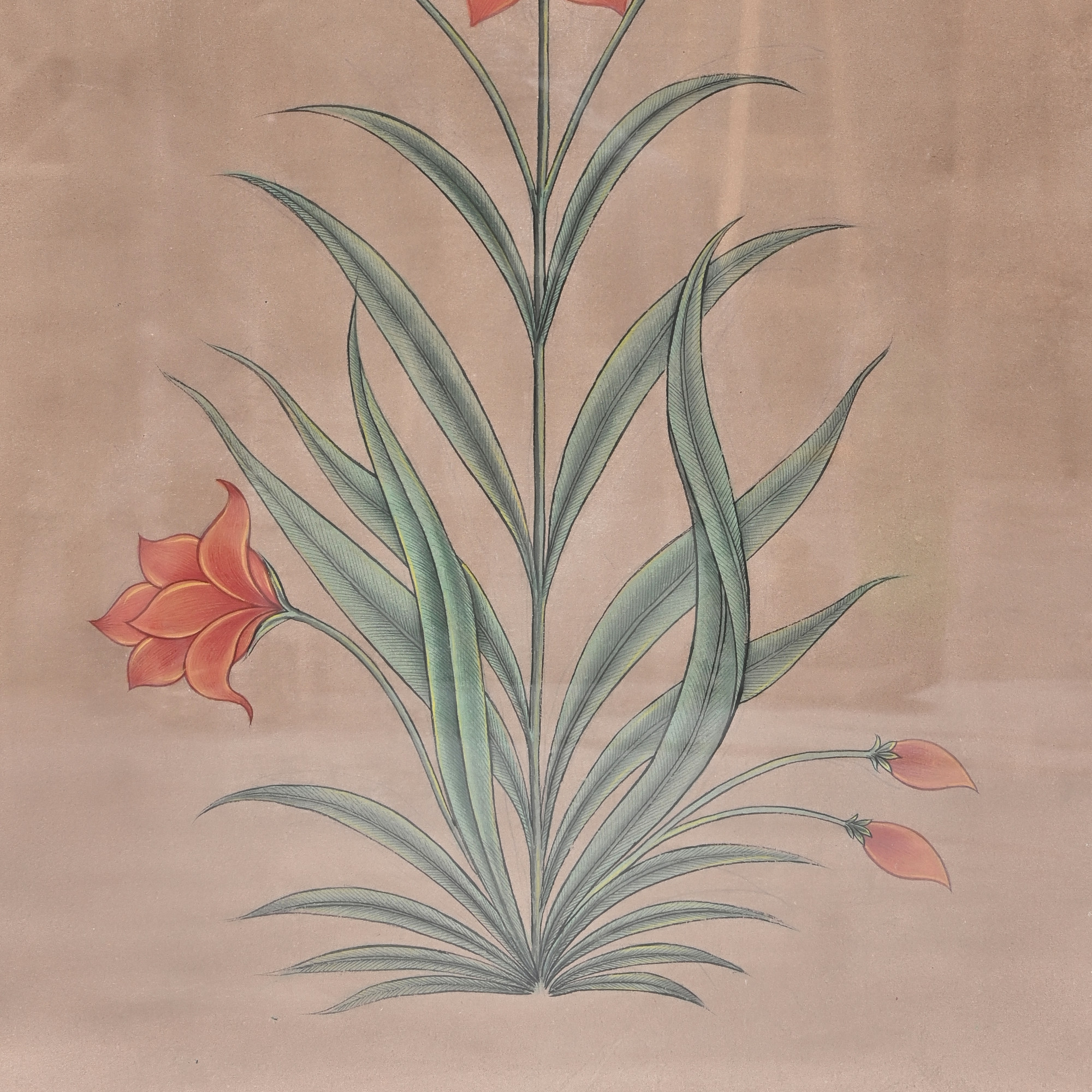 Bloom in Patina- Botanical Study