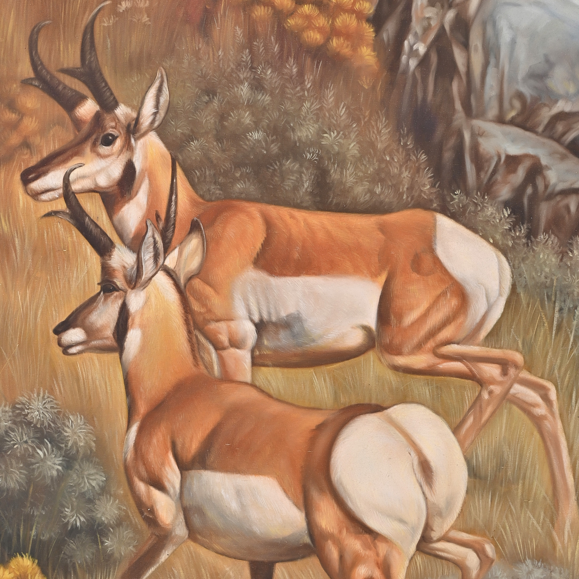 Grace of the Wild  Antelope Pair Oil Painting