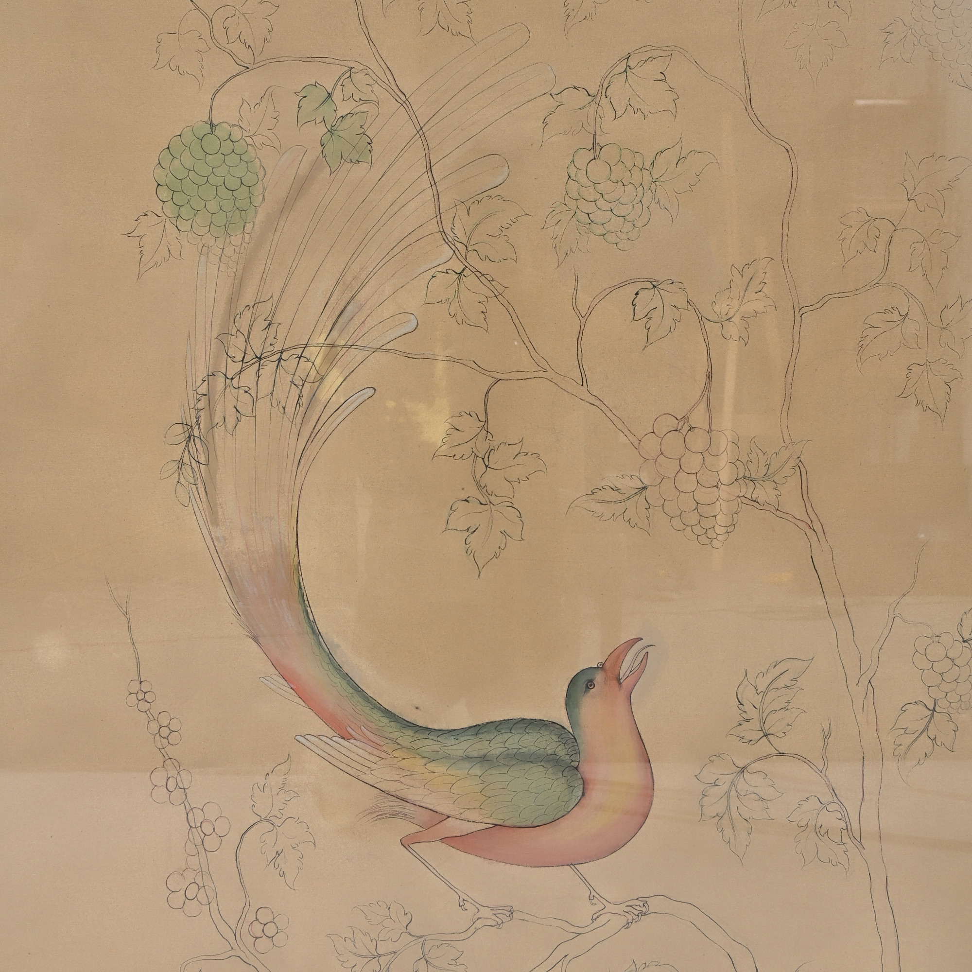 Songbird Among the Vines
