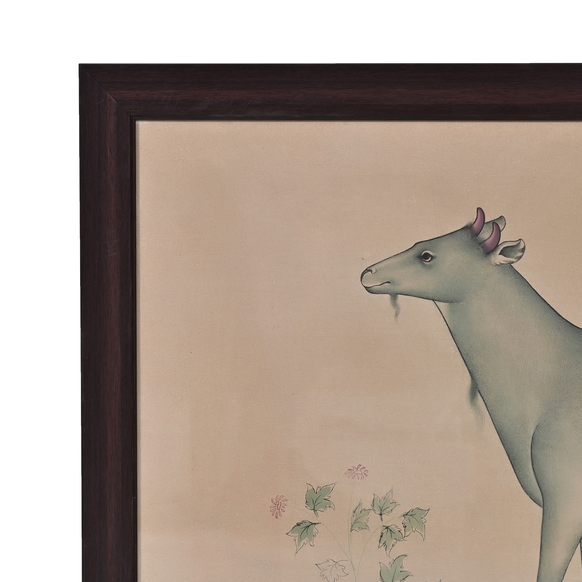 Sacred Bovine Study