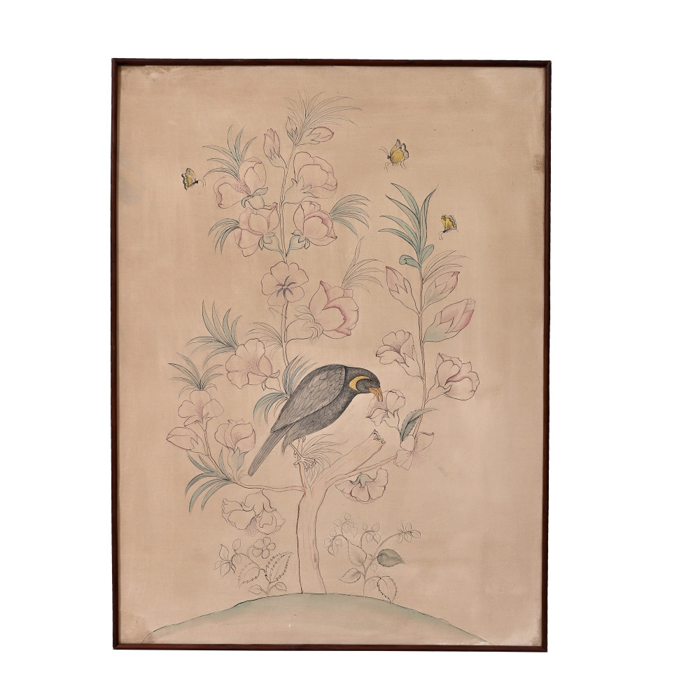 Image of Nectar's Grace