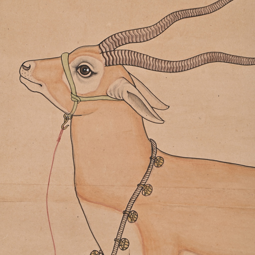 Deer Painting