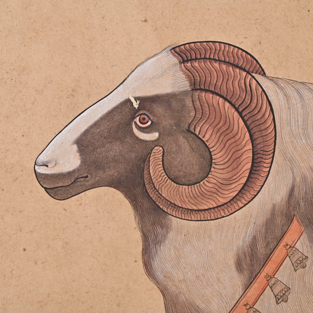 Sheep Painting