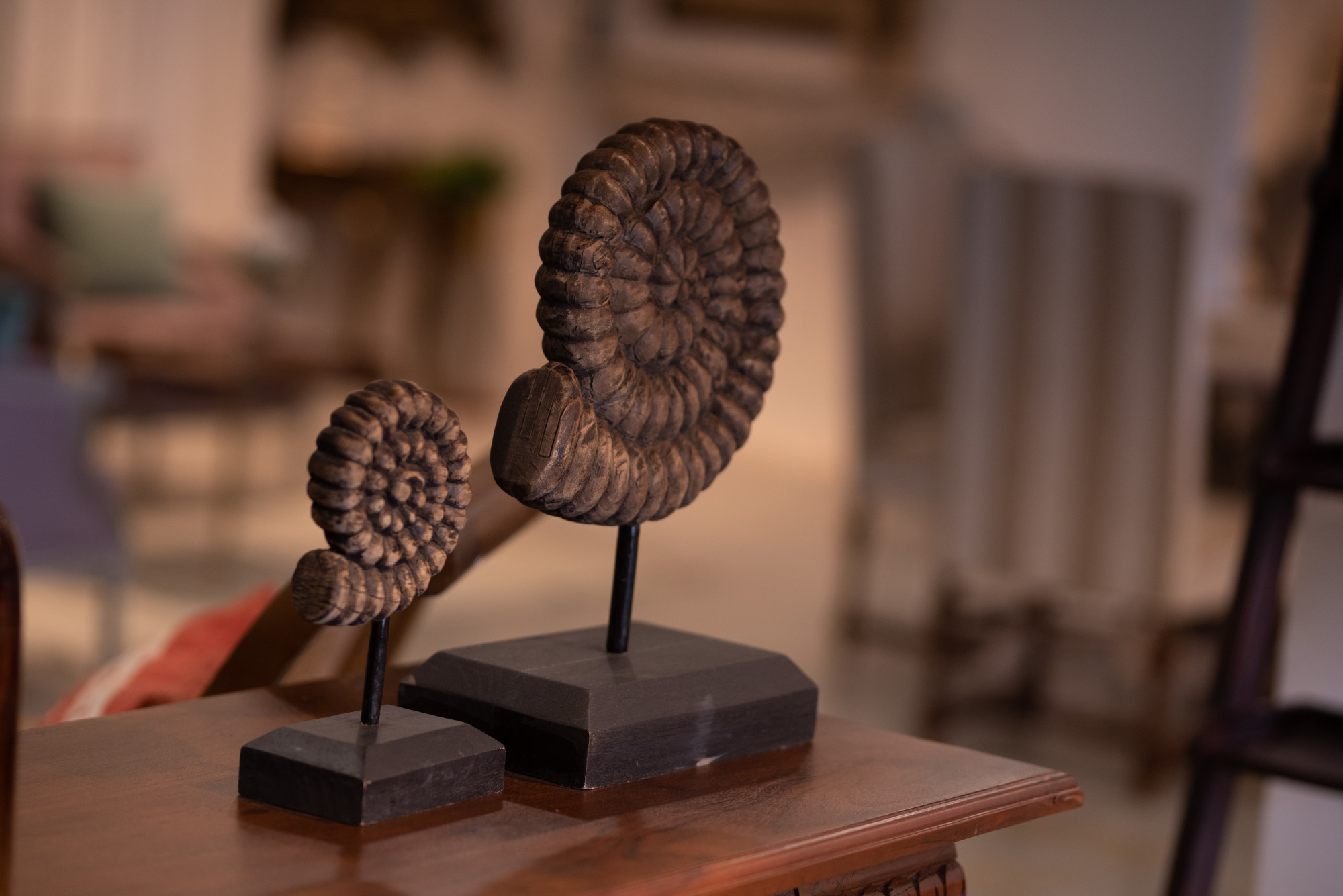 Wooden shells
