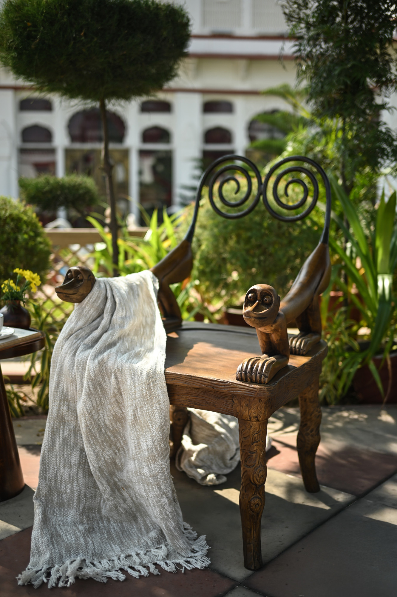 Monkey chair