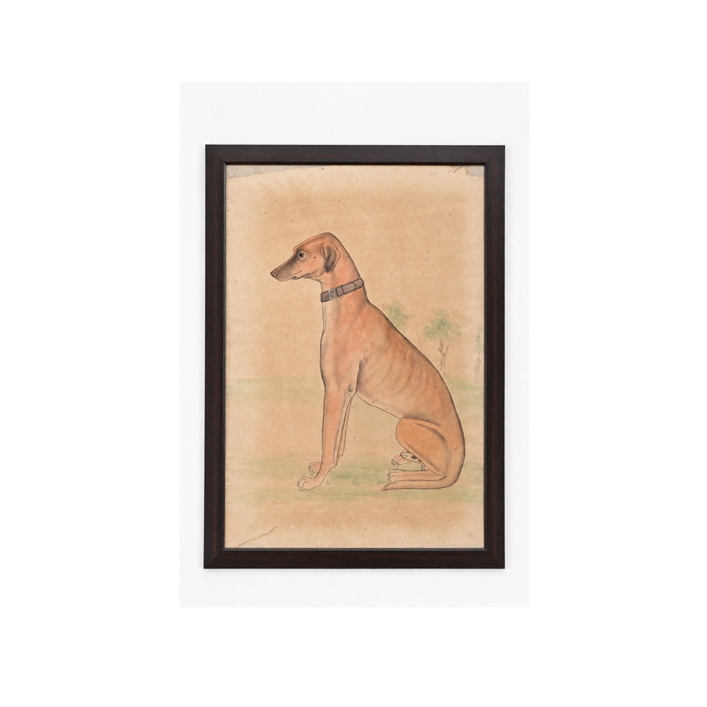 Dog painting