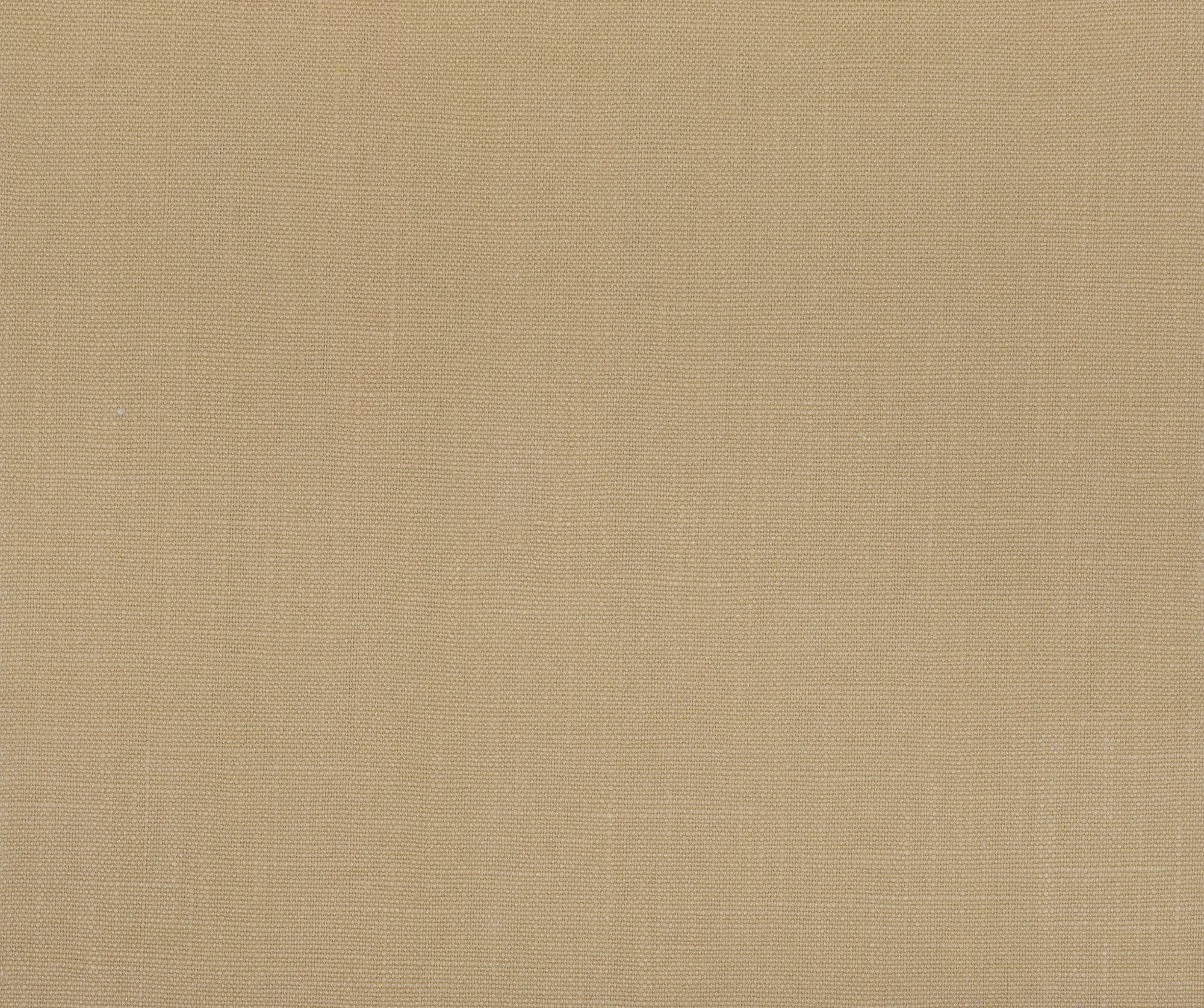 Kremlin Beige