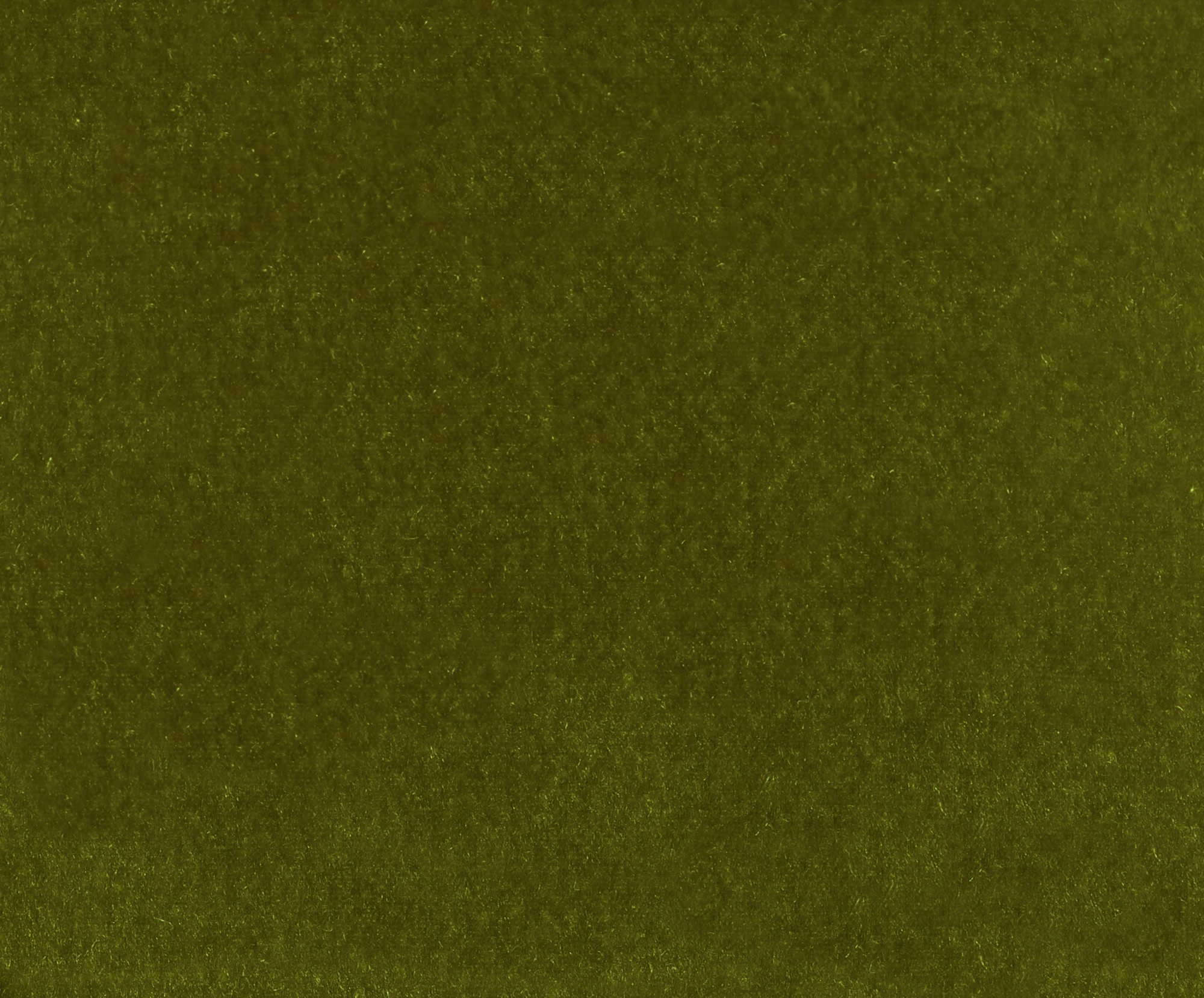 Grass