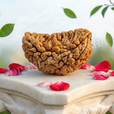 Holy Pujas performed according to Vedic rituals by our learned Guruji & their Brahmins