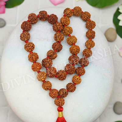 Rudraksha Malas of different kind and mukhas, 1-14 mukhi Shiva Shakti Mala