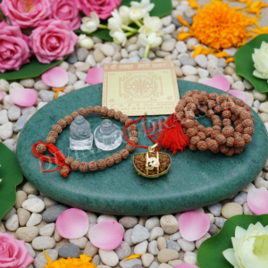 1 Mukhi Rudraksha - Complete Set