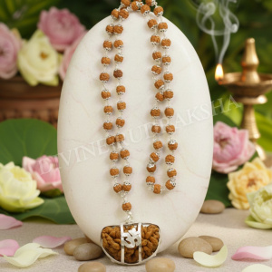 1 Mukhi Rudraksha with Capped Rudraksha Mala