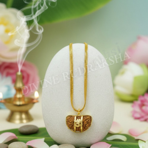 1 Mukhi Rudraksha with Golden Pendant &amp; Chain