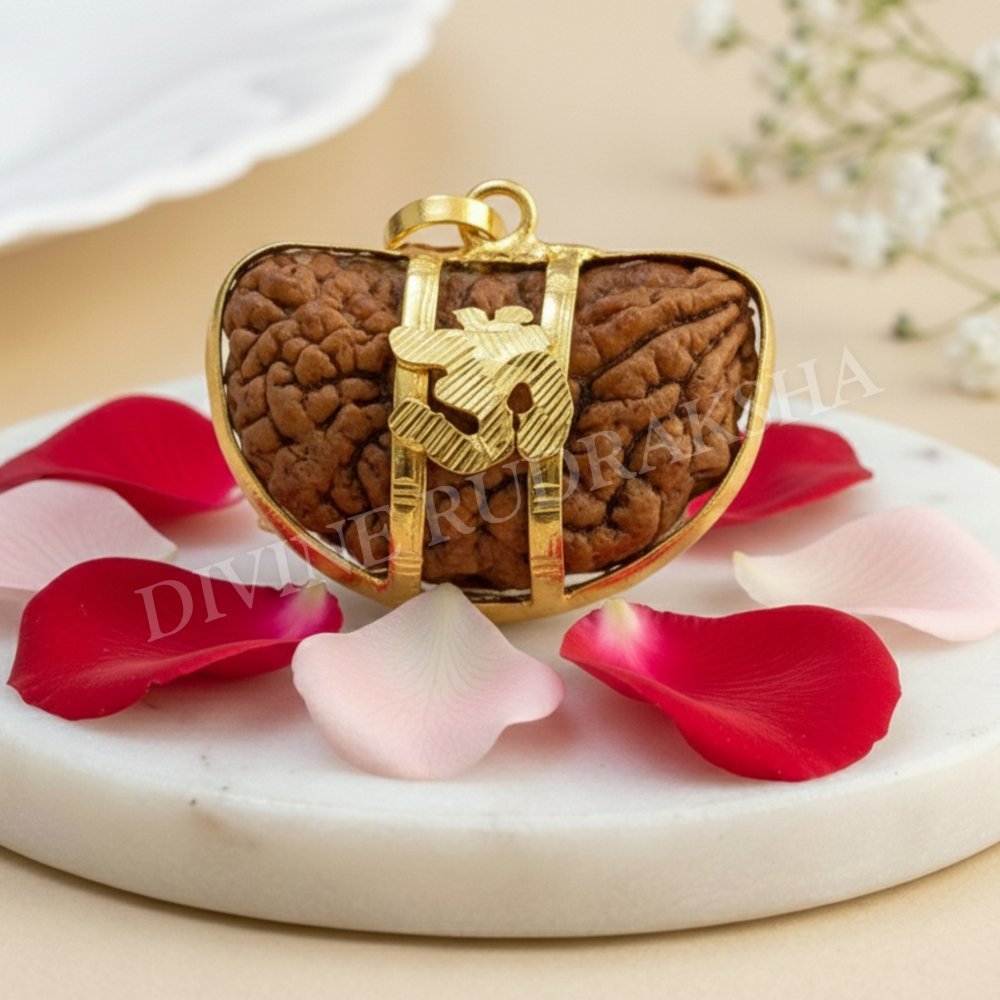 1 Mukhi Rudraksha with Golden Pendant