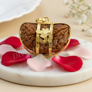 1 Mukhi Rudraksha with Golden Pendant