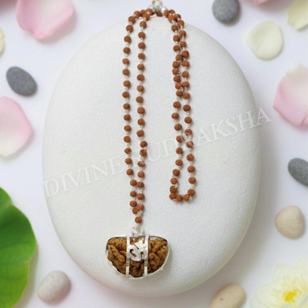 1 Mukhi Rudraksha with Rudraksha Mala