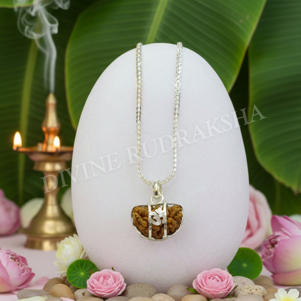 1 Mukhi Rudraksha with Silver Pendant &amp; Chain