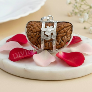 1 Mukhi Rudraksha with Silver Pendant