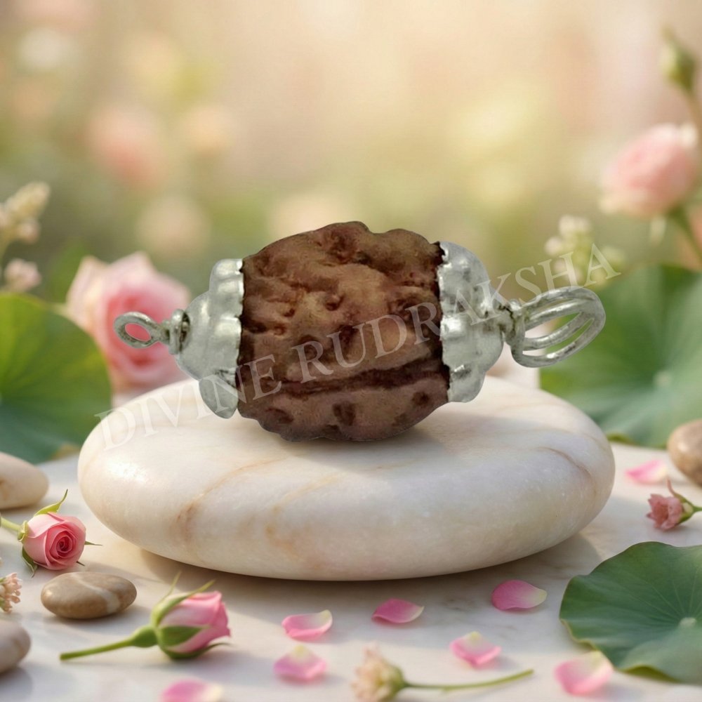 2 Mukhi Indonesian Rudraksha