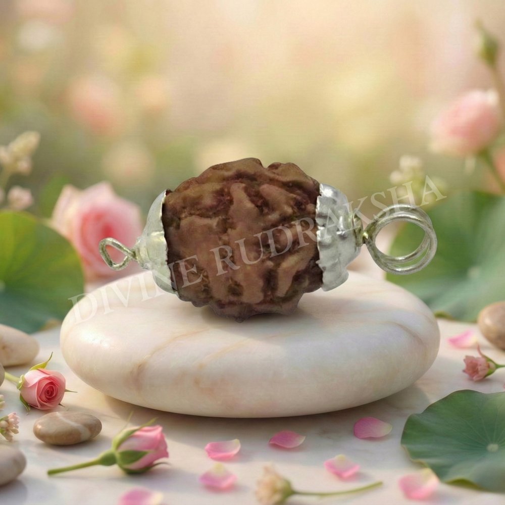 3 Mukhi Indonesian Rudraksha