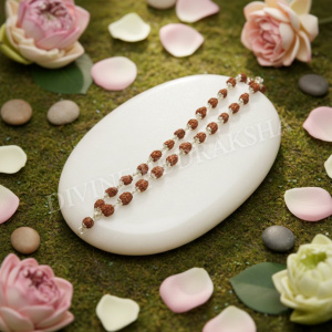 3 Mukhi Indonesian Rudraksha Mala