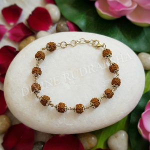 5 Mukhi Indonesian Rudraksha Bracelet in Silver