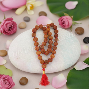 7 Mukhi Rudraksha Mala - Nepalese