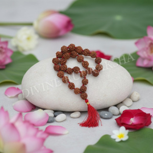 8 Mukhi Rudraksha Mala - Nepalese