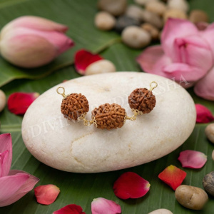 Chinta Nashak Rudraksha Combination