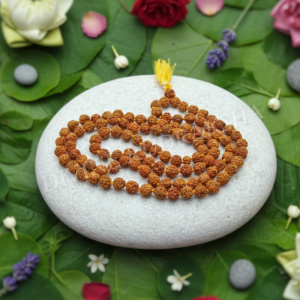 Five Mukhi Rudraksha Malas - Indonesian