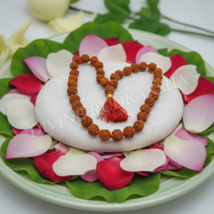 Four (4) Mukhi Rudraksha Mala - Nepalese