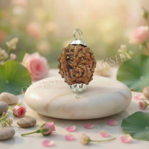 Ganesha Indonesian Rudraksha