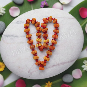 Gauri Shankar Rudraksha Kantha