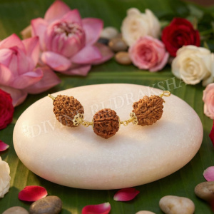 Lagan Yog Rudraksha Power Combination