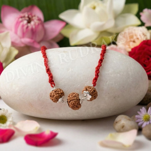 Lakshmi Narayan Kavach Indonesian