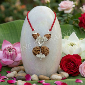 Marital Bliss Rudraksha Pendant Indonesian