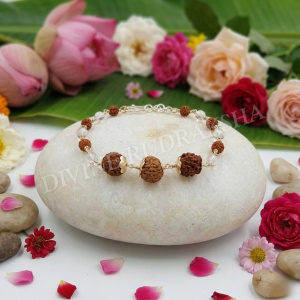 Mohini/Kaamdev Rudraksha Bracelet