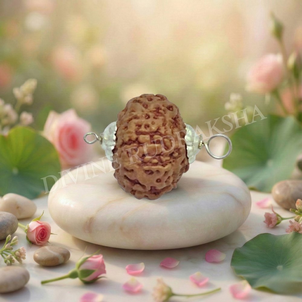 Nine (9) Mukhi Rudraksha - Indonesian