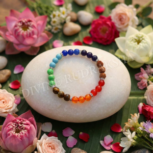 Seven Chakras Rudraksha Bracelet 1