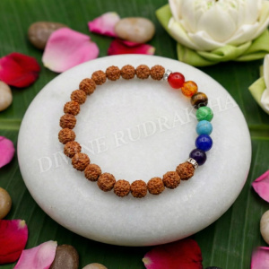 Seven Chakras Rudraksha Bracelet