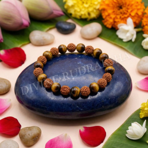 Tiger's Eye Rudraksha Bracelet