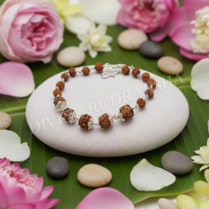 Vidhya Dayak Rudraksha Bracelet