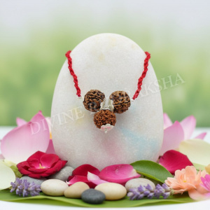 Vidhya Dayak Rudraksha Pendant Nepalese