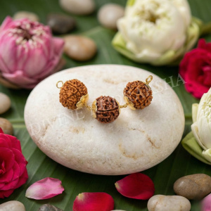 Zodiac Rudraksha Pendant 3