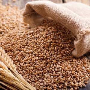 Image of Wheat - Sharbati Superior