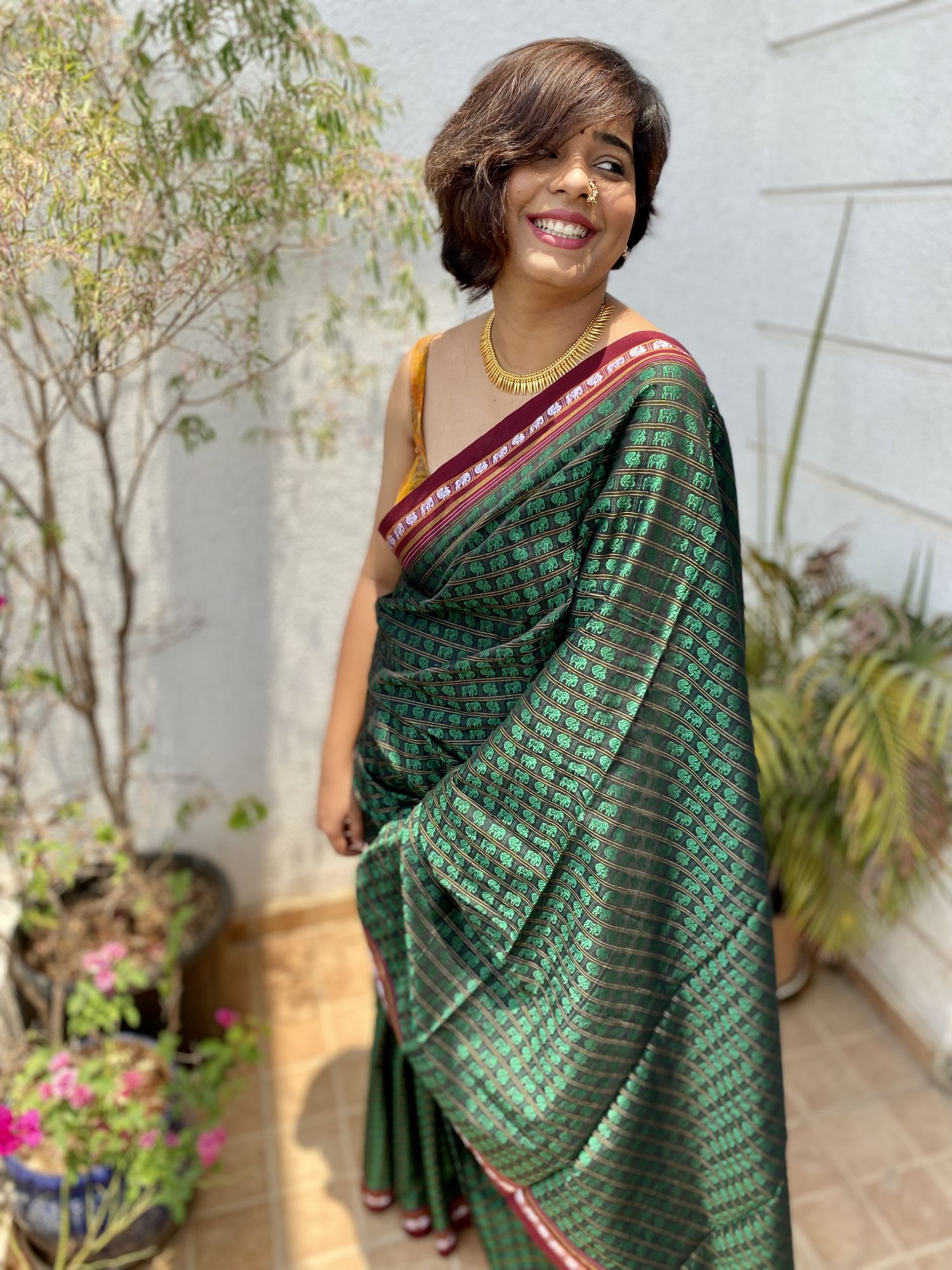 Hathi mor khun saree