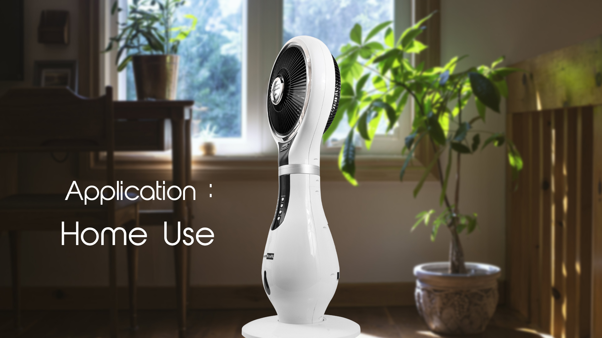 Dexter Indoor Mist Fan MF-317