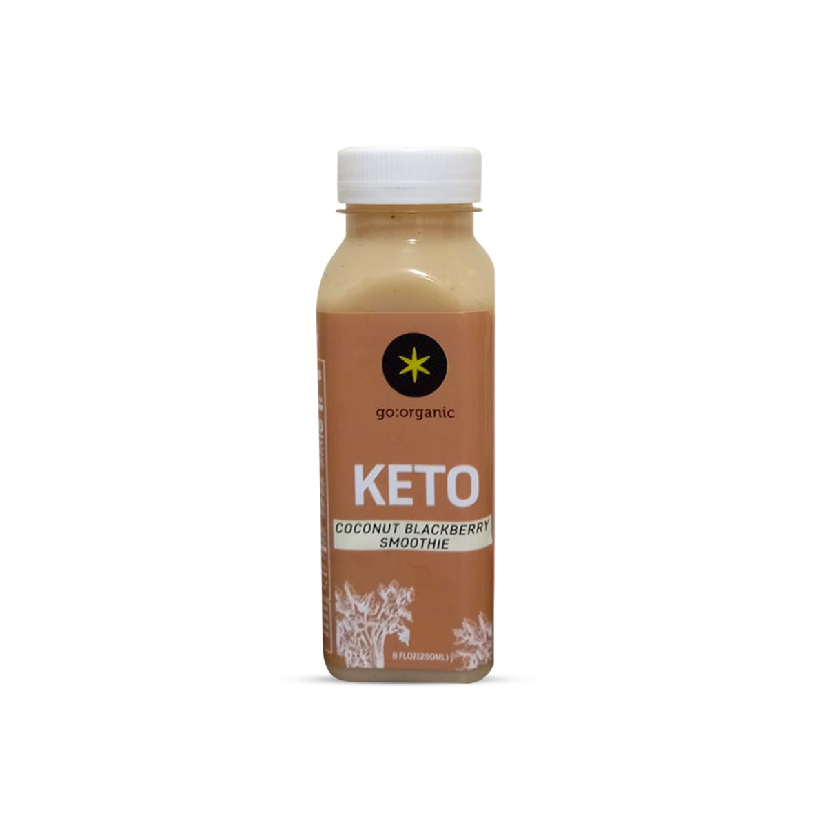 Coconut Blackberry Smoothie