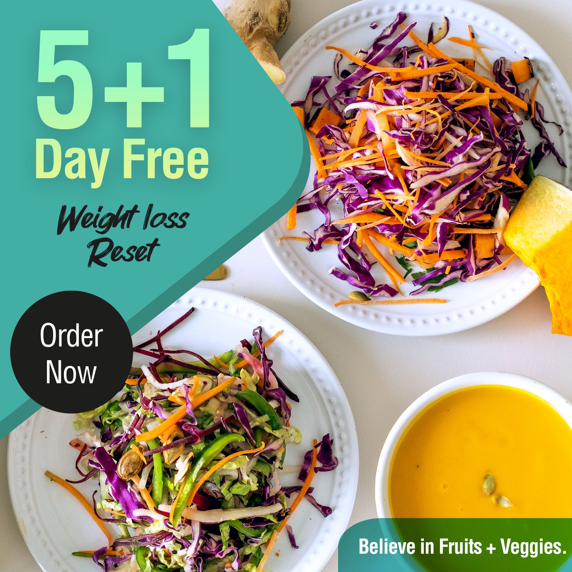 51Day Free Anti Parasite Microbiome Reset